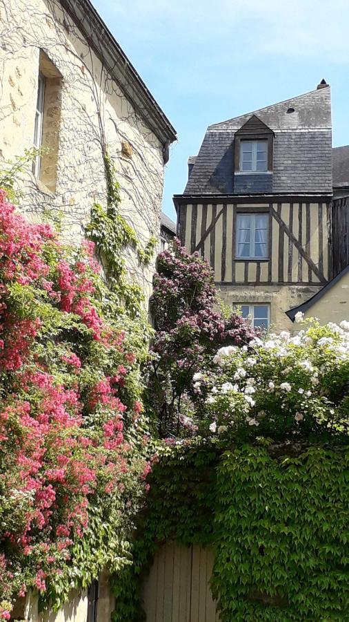 Petite Maison Romantique Au Calme, Coeur Historique Plantagenet, Vue Ville Le Mans Eksteriør bilde