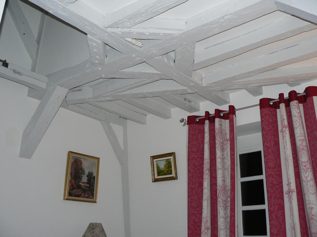 Petite Maison Romantique Au Calme, Coeur Historique Plantagenet, Vue Ville Le Mans Rom bilde